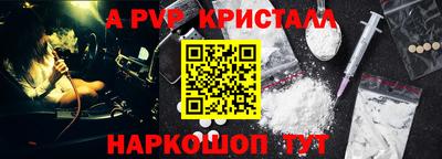 хмурый Тула