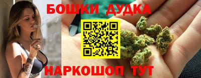 хмурый Тула