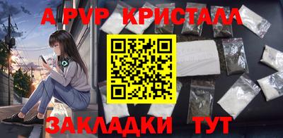 хмурый Тула
