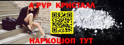 хмурый Тула